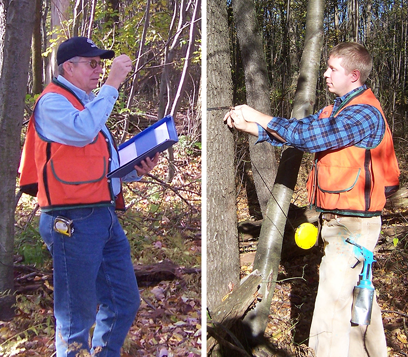 About Forest Land Services Inc.