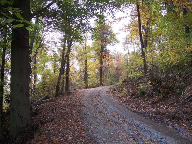 Clients Forest Land Services Inc.