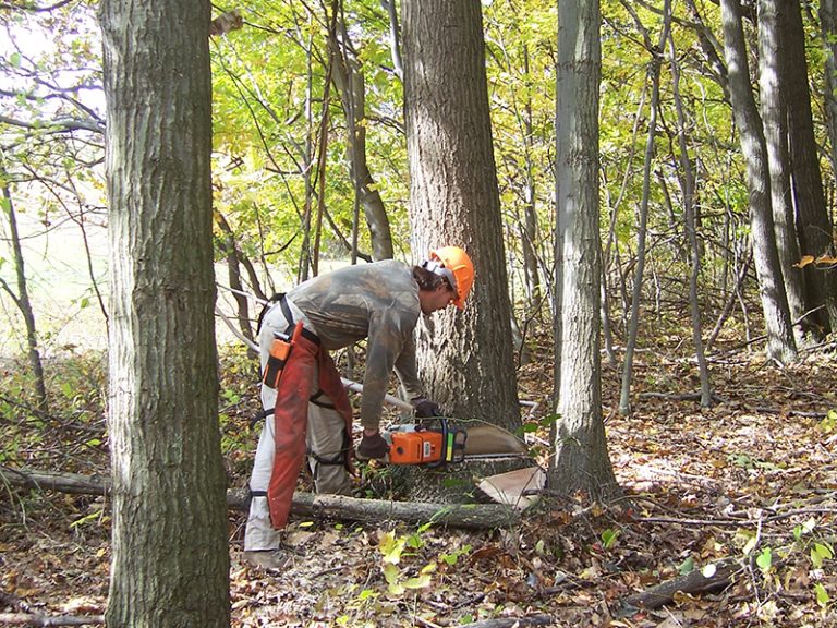 Forest Land Services Inc. Professional Forest Management Consultants