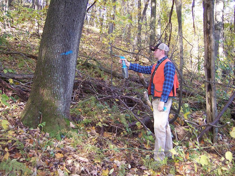 Forest Land Services Inc. Professional Forest Management Consultants