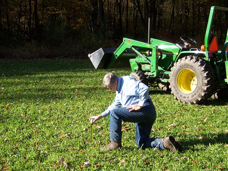 About Forest Land Services Inc.