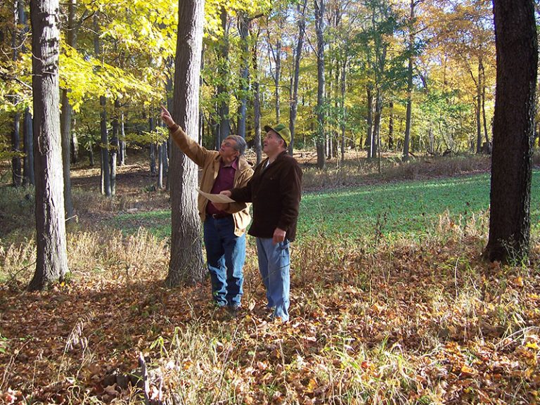 Forest Land Services Inc. Professional Forest Management Consultants